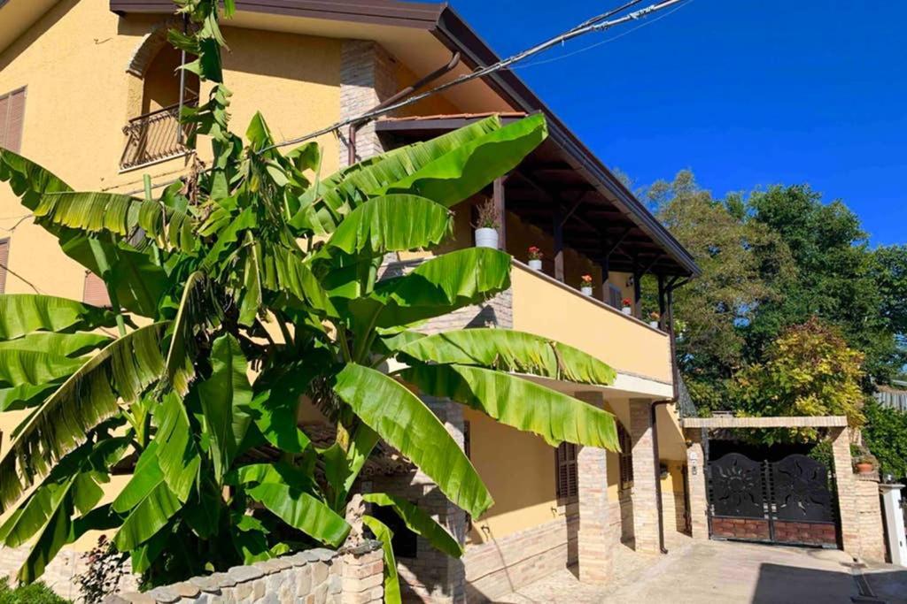 Flowery House Miglianico Exterior foto